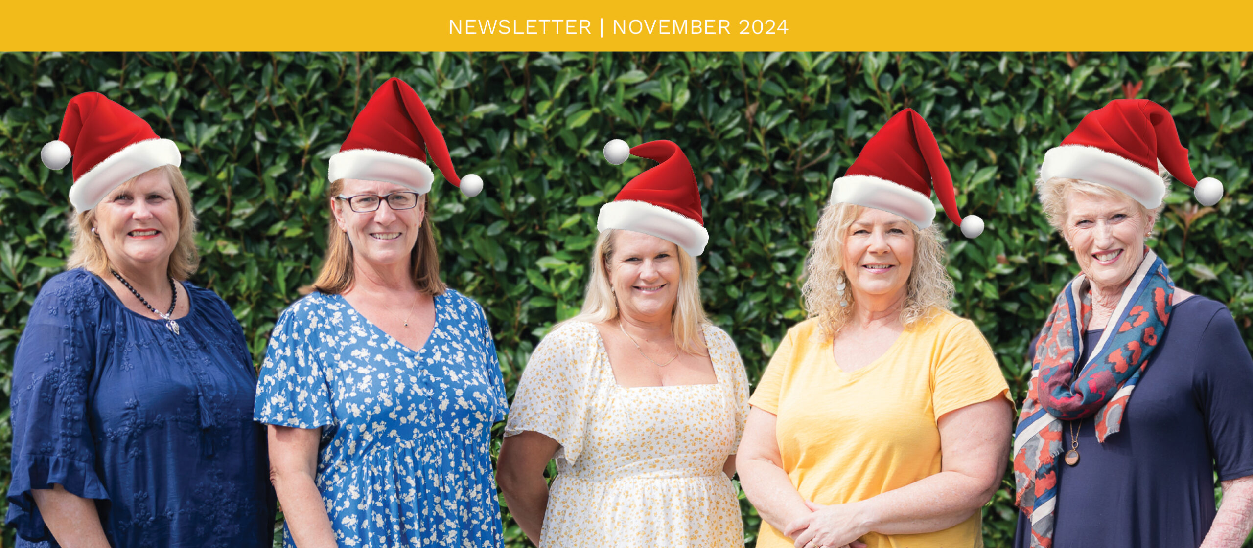 November 2024 Newsletter